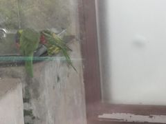 -上方山森林动物世界