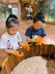 -宝燕乐园(闵行旗舰店)