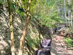 -莫干山风景区