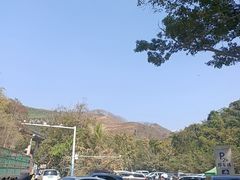 -西双版纳原始森林公园
