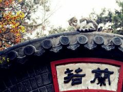 -湛山寺