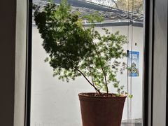 -月芽·自由餐厅·西溪湿地餐厅