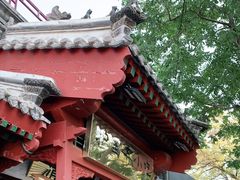 -护国寺小吃店(阜成门桥店)
