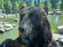 -北京野生动物园