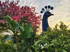 -东莞植物园
