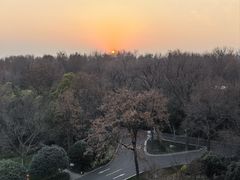 -南京东郊国宾馆