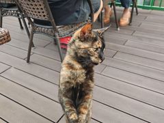 -EATALIA意塔利意式餐厅(鼓楼店)