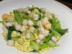 -前海沿·青岛菜(大拇指广场石老人店)