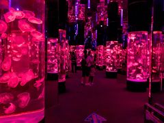 -成都浩海立方海洋公园