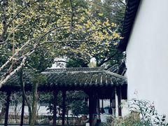 -上海醉白池公园