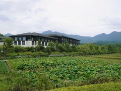 -凤凰谷天澜度假酒店云天阁自助餐