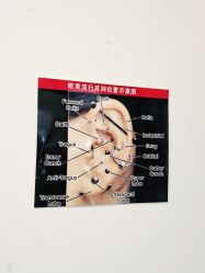 -AI艾耳·专业手工耳洞·穿孔美学馆