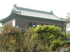 -南汇桃花村