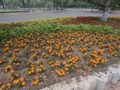 -哈尔滨师范大学(松北校区)