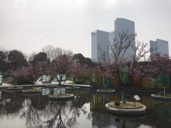 -白塘生态植物园