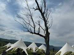 -新疆那拉提国家旅游度假区