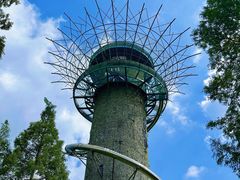 -黄海国家森林公园