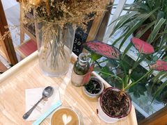 -猫的天空之城概念书店(印象城购物中心店)