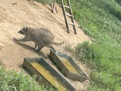 -秦皇岛野生动物园