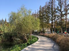 -前小桔亲子创意农场·草莓采摘·露营烧烤