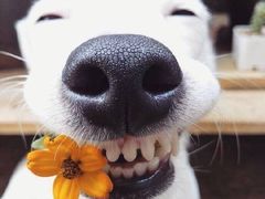 -漳州佰翔圆山酒店·圆山畔西餐厅