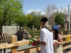 -水上乐园·欢乐世界