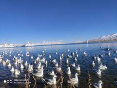 -青海湖国家重点风景名胜区