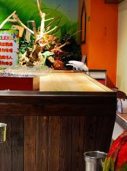 -未来动物城动物主题公园(大悦城店)