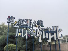 -石饮红星包子(中山路店)