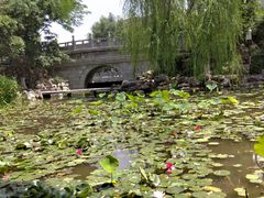 -莲湖公园