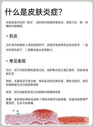 -LUNA皮相美·骨相美高级美感
