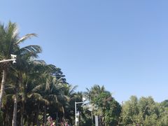 -深圳湾公园(南山区)