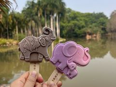 -中国科学院西双版纳热带植物园