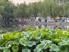 -百花洲