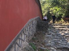 -阳台山自然风景区