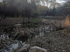 -长白岛森林公园