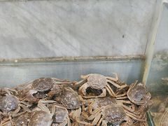 -川骄海鲜自助(河东店)