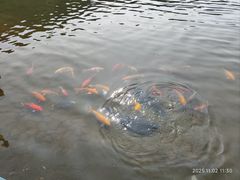 -白马涧龙池景区