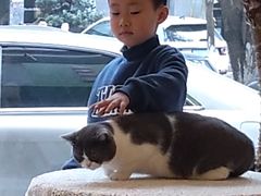 -猫友咖啡店(玉林西路店)