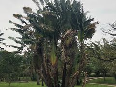 -红色娘子军纪念园