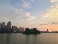 -金沙湖公园