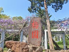-无锡梅园公园