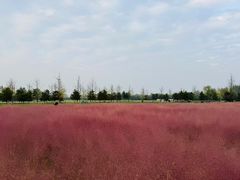 -汉长安城未央宫国家考古遗址公园