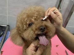 -宠福鑫康馨动物医院·骨科·眼科