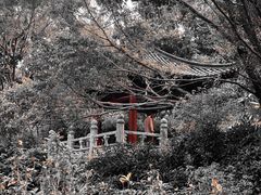 -深圳国际园林花卉博览园