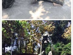 -塔銮寺