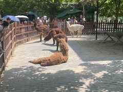 -西安秦岭野生动物园