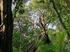 -七仙岭温泉国家森林公园