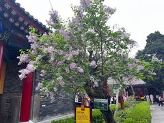 -西安市广仁寺