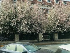 -天津津利华酒店